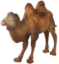 Фигурка игрушка серии Мир диких животных Верблюд Основная